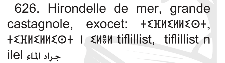 ⵜⵉⴼⵍⵉⵍⵍⵉⵙⵜ (tiflillist) — Animal